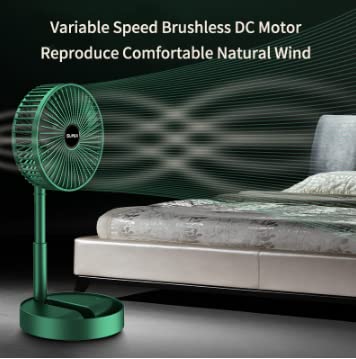 Fan (Green)